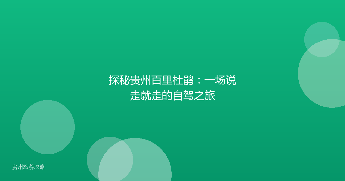 探秘贵州百里杜鹃：一场说走就走的自驾之旅