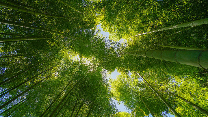 贵州四日游线路安排,这份攻略让你玩转山水人间仙境
